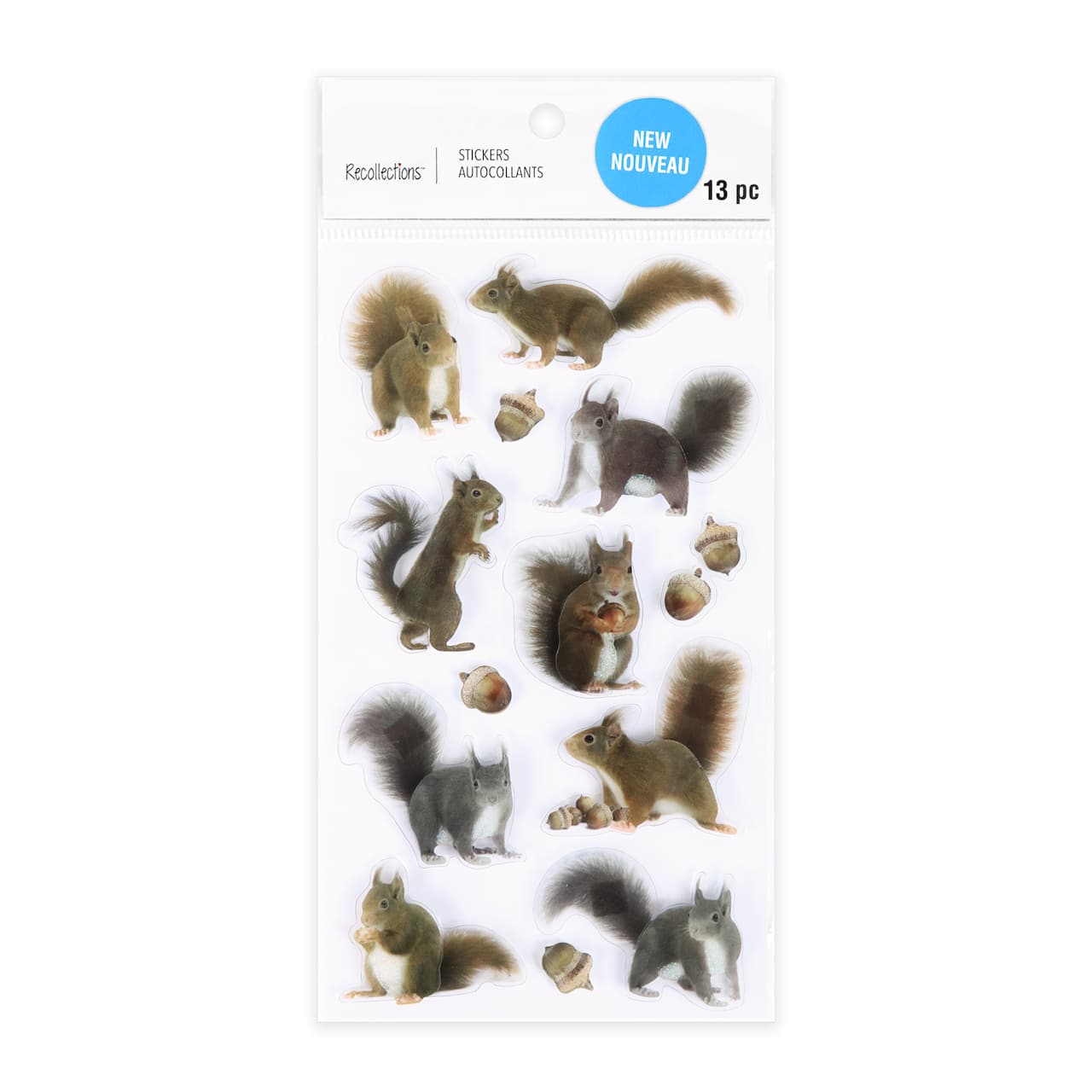 Squirrel Stickers by Recollections&#x2122;